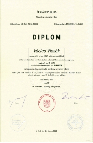 diplom